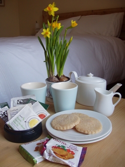 Number 15 Vegetarian